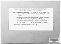 Image Associated With the Occurence